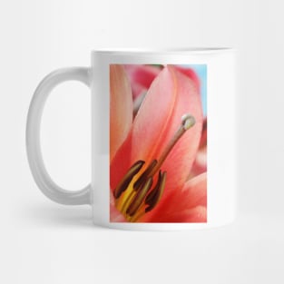 Lilium  'Satisfaction'  Lily  Orienpet Hybrid Mug